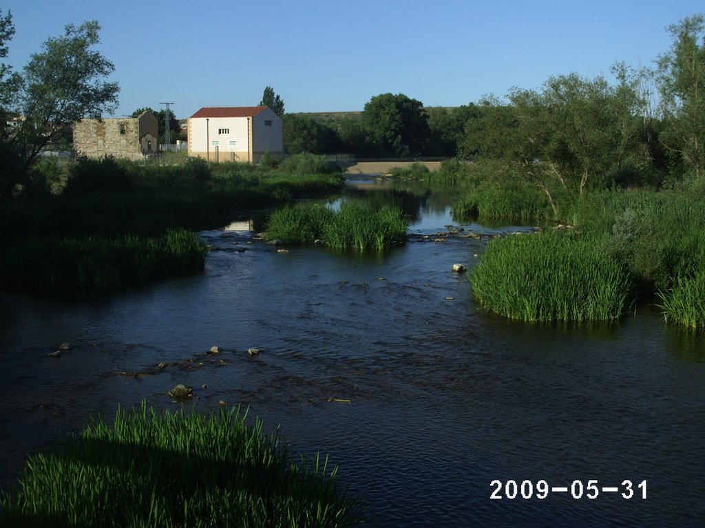 RIO TORMES EN ALMENARA by 1260