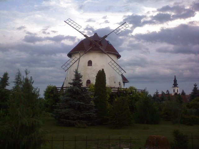 Lepota Ravnog Sela,Vojvodina by Čedo Vaslić