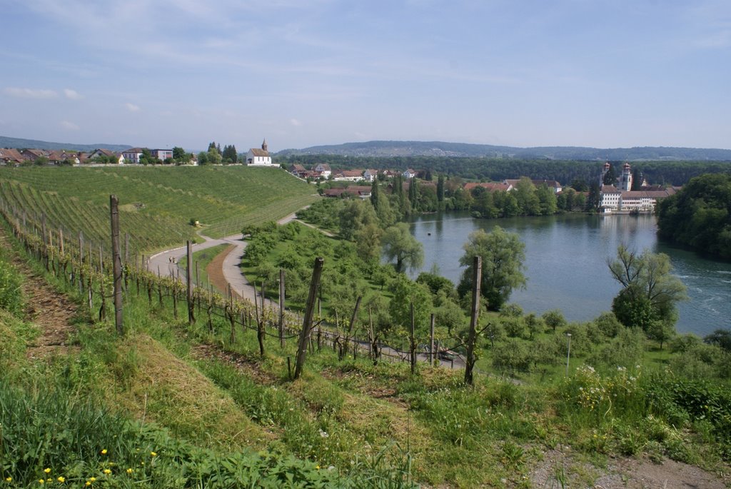 Blick nordöstlichlich zum Benediktinerkloster Rheinau by scali