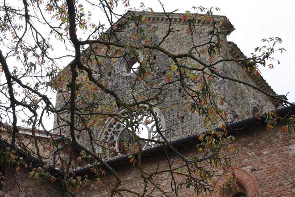 ARTE E NATURA A SAN GALGANO by Sandro Mosca