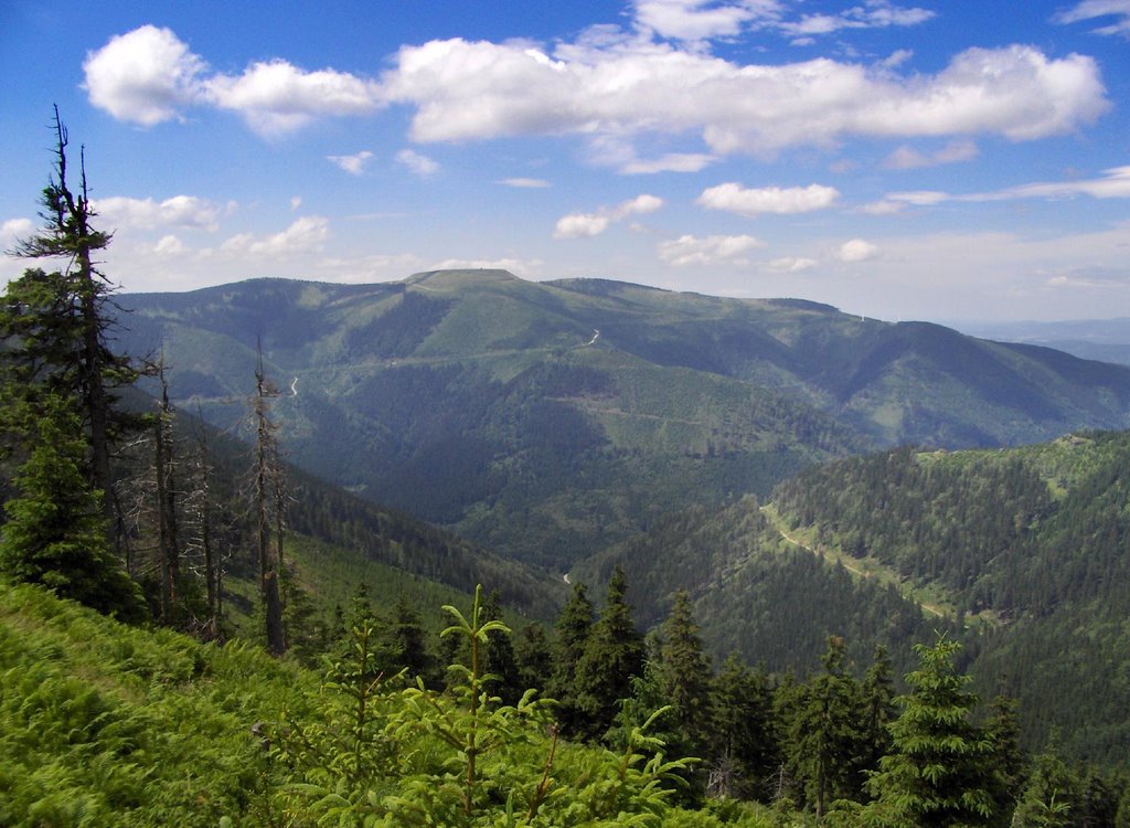 Loučná nad Desnou, Czech Republic by Wróblewski Jan