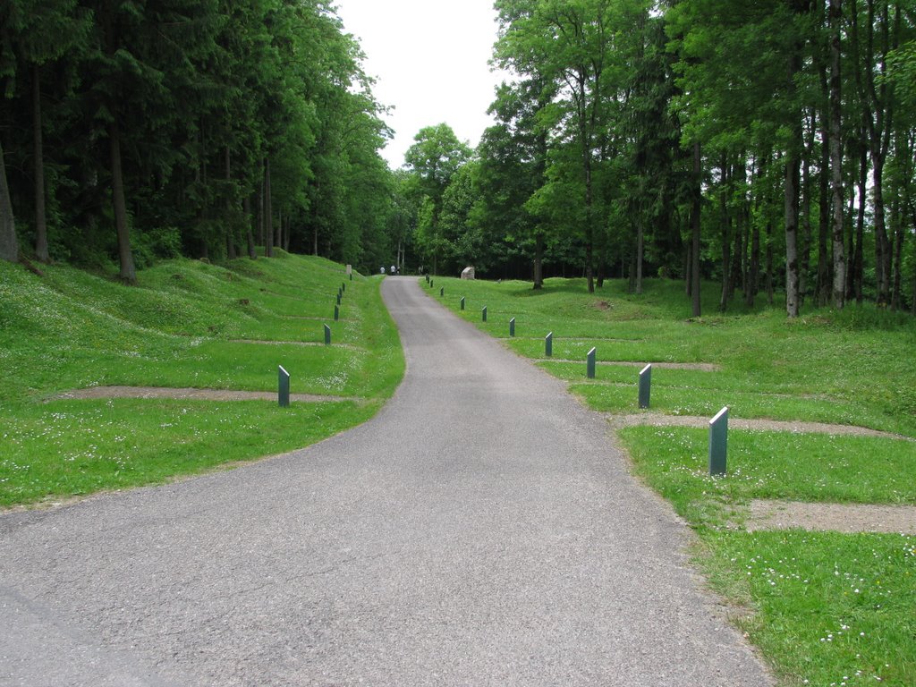 Village détruit de Douaumont by Doucette