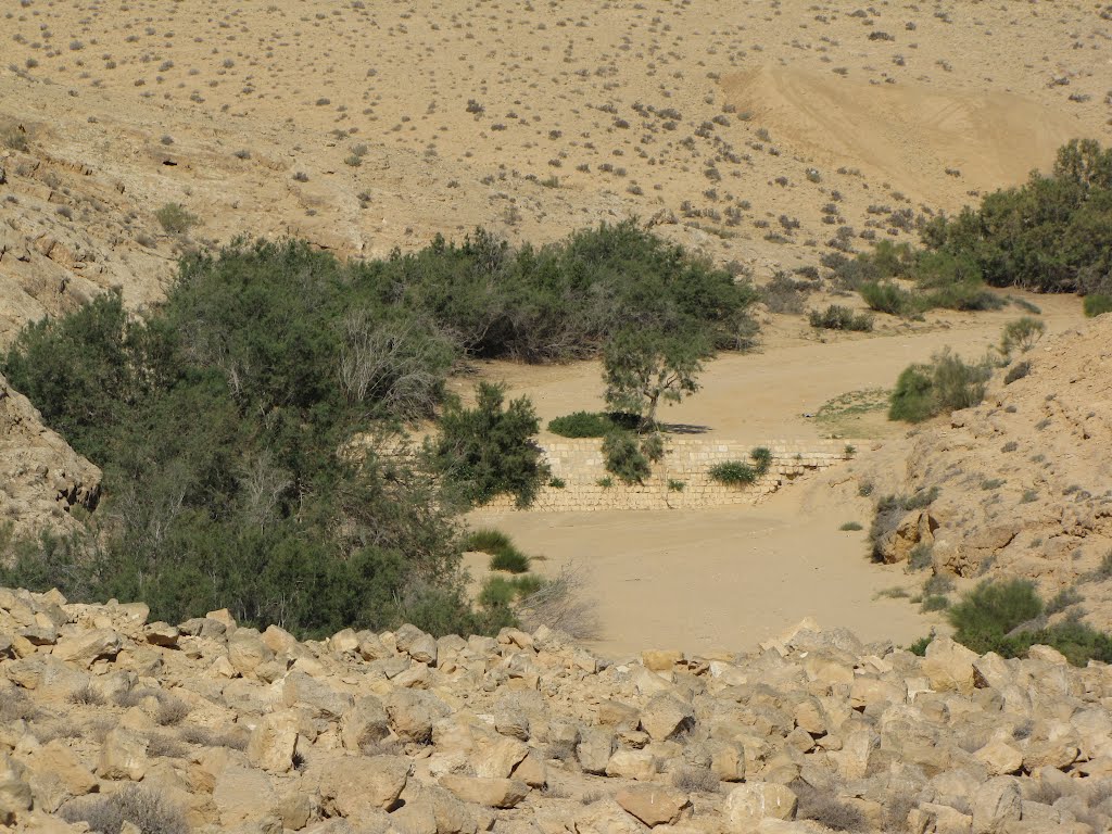 The Nabataean town Mamshit 88 ,Israel by ‫יוסף אבן כסף‬‎