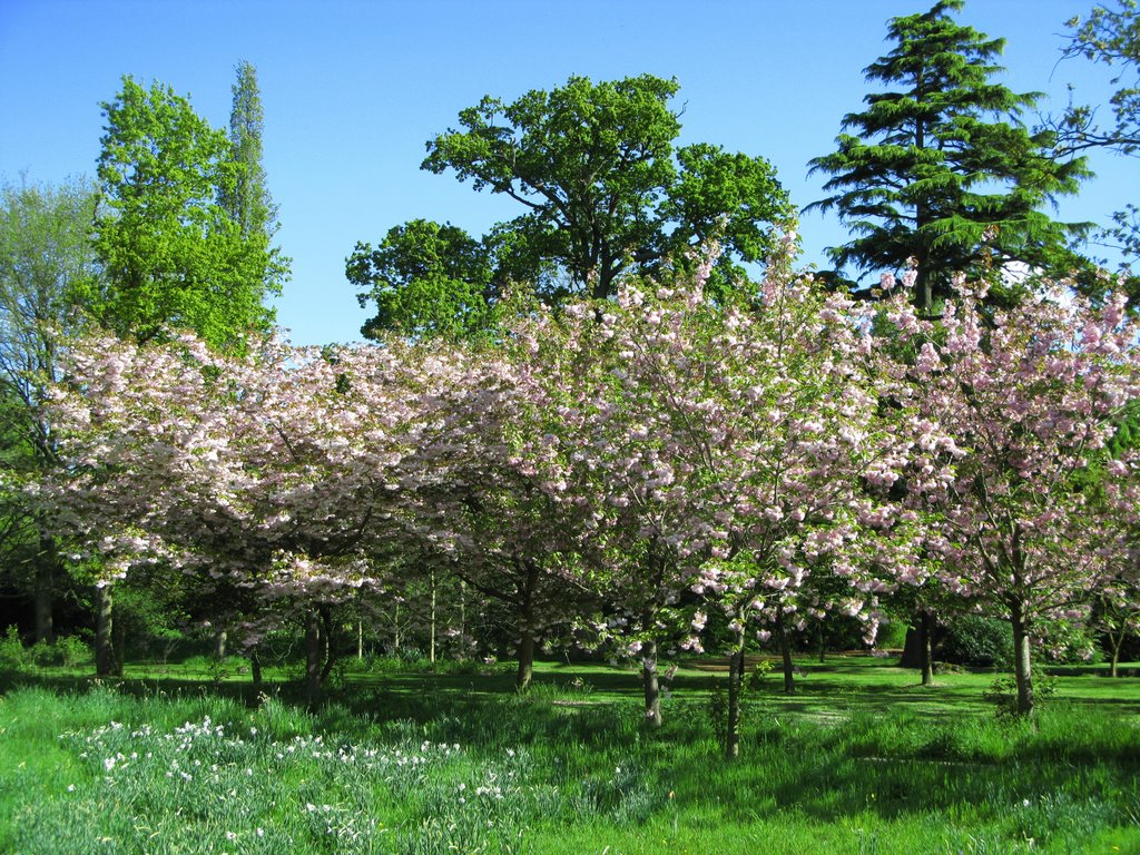 Spring View Harris Gardens by WoodleyR