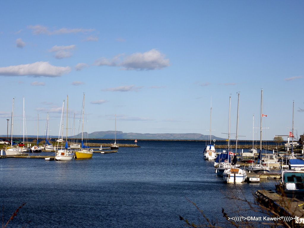 Mooring dock, Marina Park by matt kawei