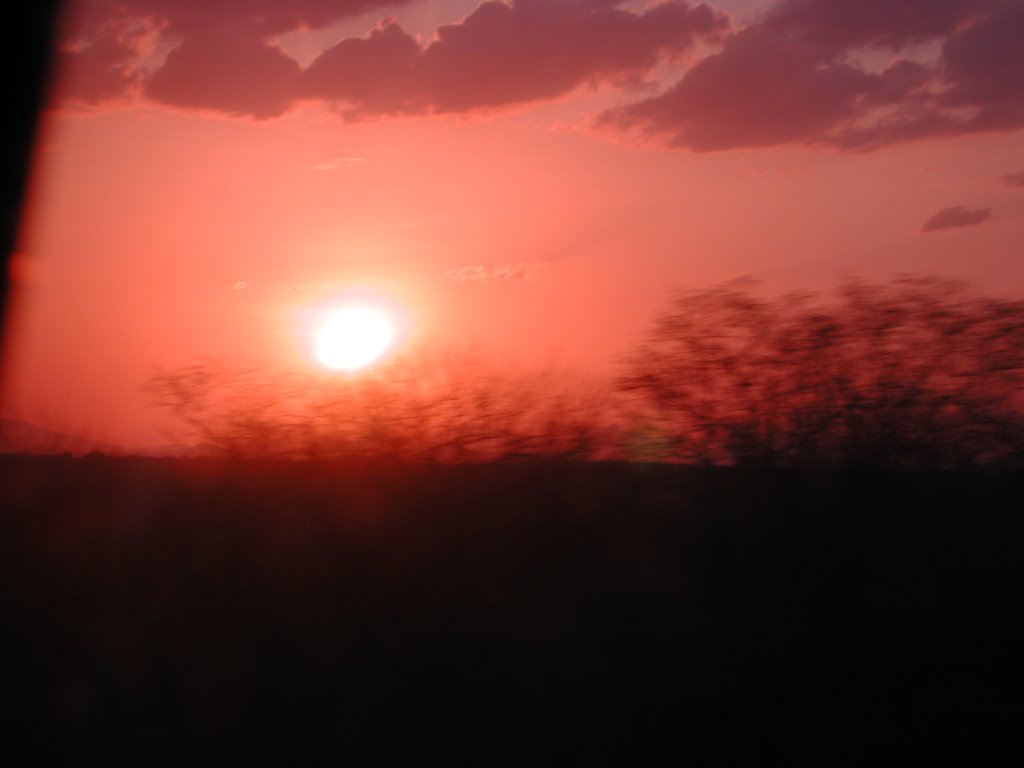 Por do Sol no Sertão do Ceará by Berenice Brendler