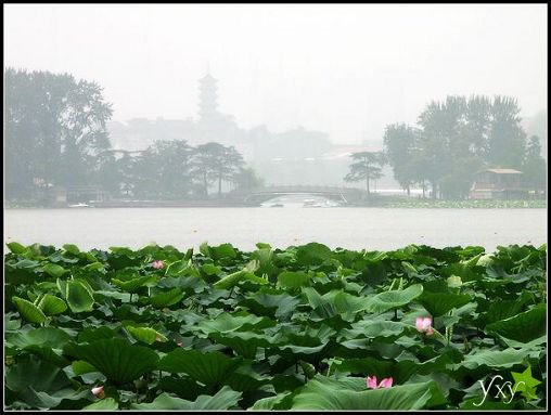 玄武湖(Xuanwu Lake) by 山水城林