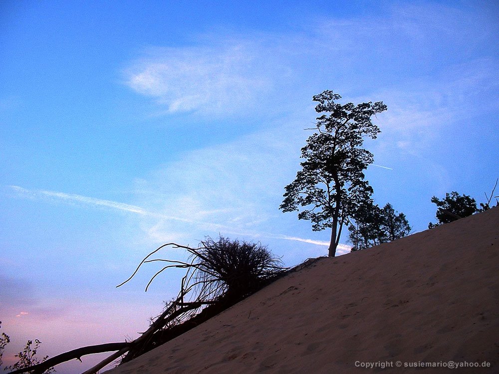 USA: Michigan Lake : Warren Dunes State Park by SusieMario