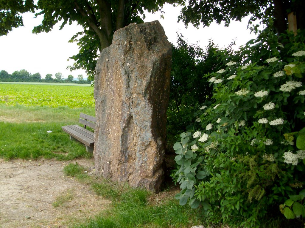 Menhir by Steffen Röhner