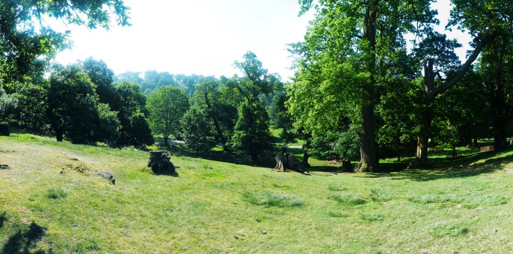 Bradgate Park by energymazes