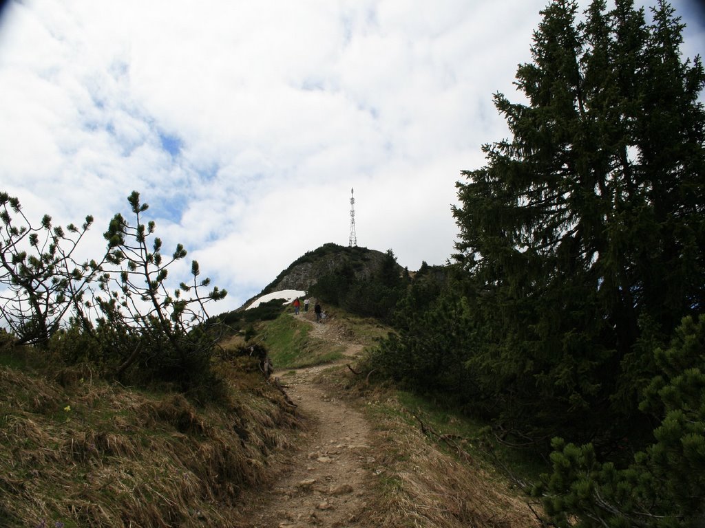 Hahnenkamm 1938 m by MH75