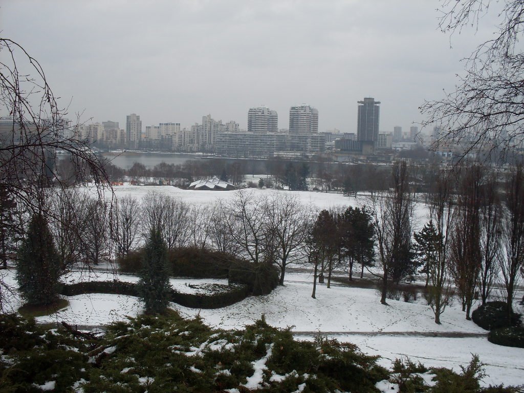 Parc et lac de Creteil en hiver by Didier Y