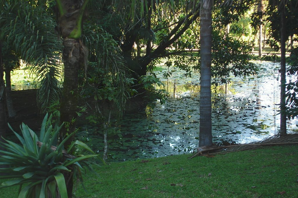 Parque Malwee - Jaraguá do Sul/SC by saffis