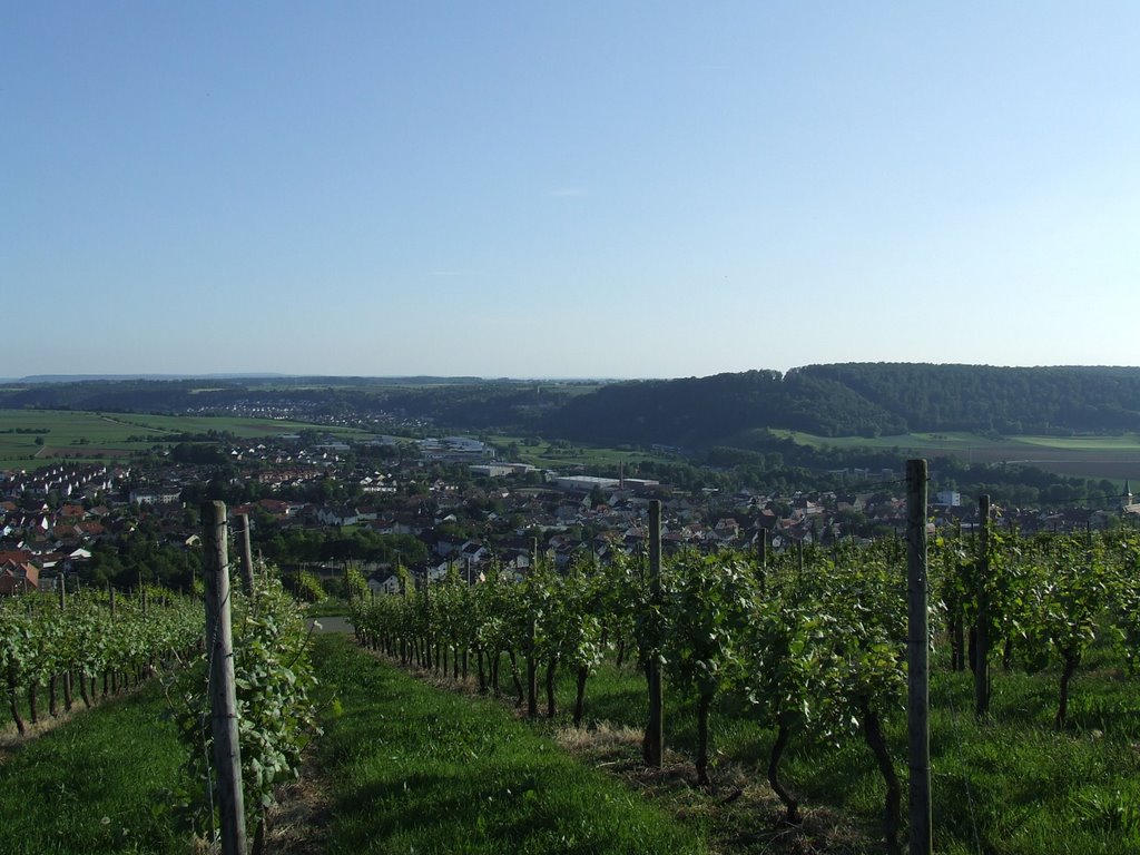 Ausblick Südwesten Gundelsheim dann Burg Ehrenberg und Heinsheim by G.Stotz