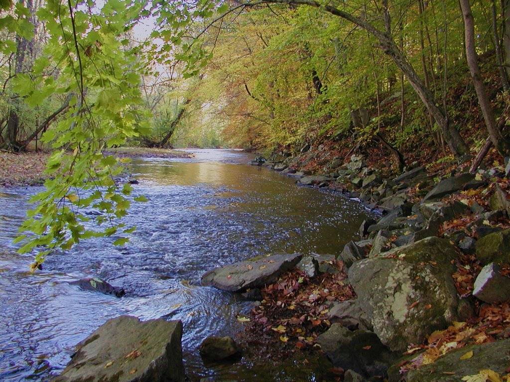 White Clay Creek by Colin Williford