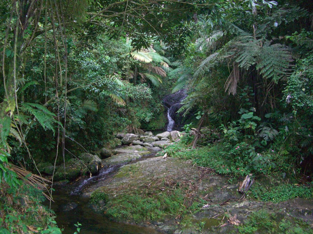 Ala De La Piedra, Orocovis, Puerto Rico by Gabriel D'Attili