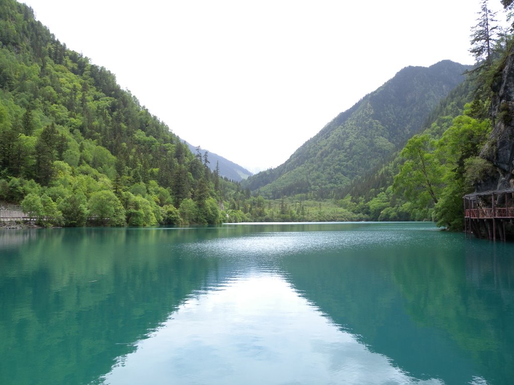 Jiuzhaigou, Aba, Sichuan, China by 流浪地球