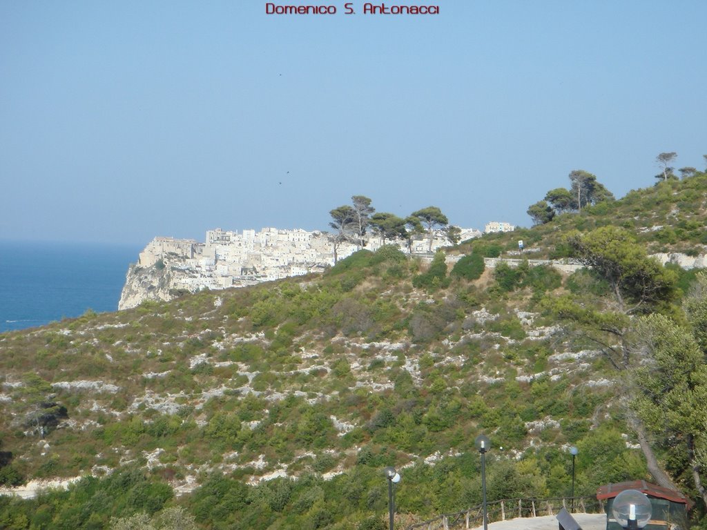 Torre di Monte Pucci by Domenico Sergio Anto…