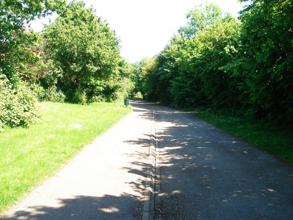 Glover Path by Marc Stride