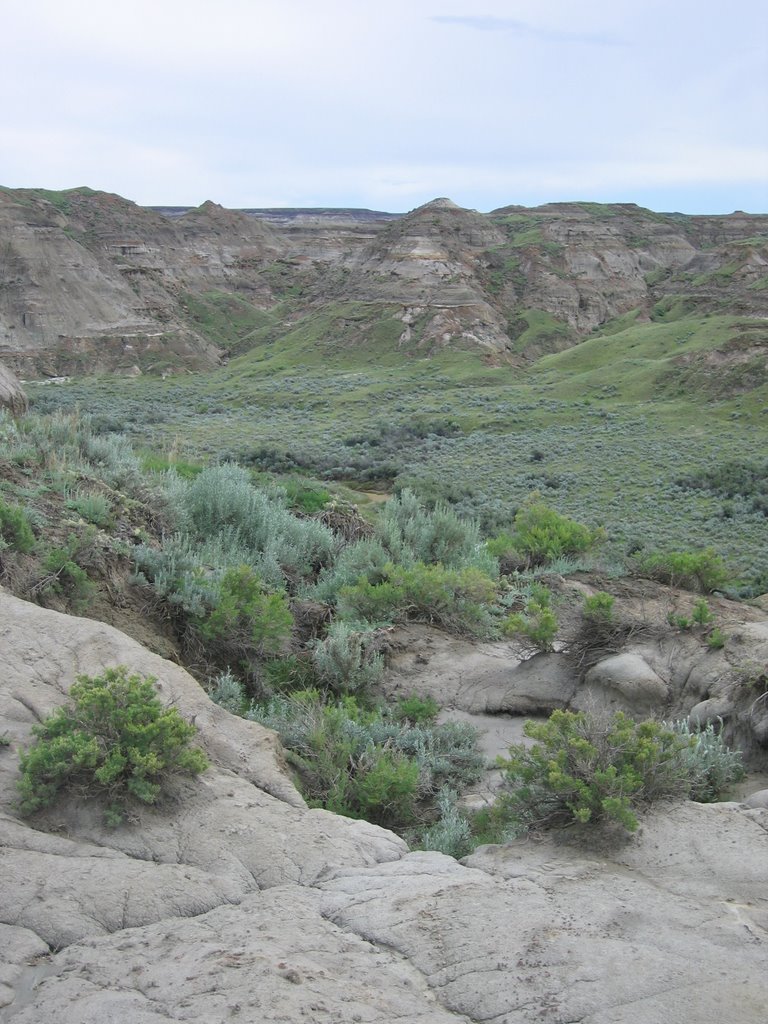 The Nearly Desert Lands of Dinosaur by David Cure-Hryciuk