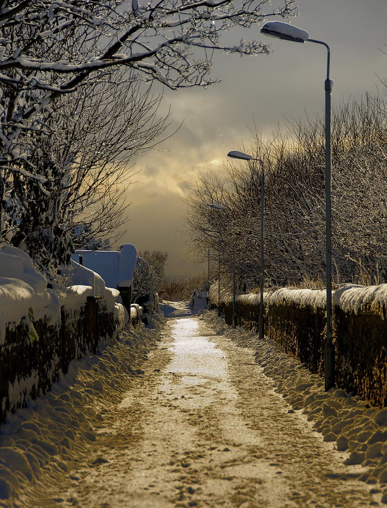 Johnshaven Back Road (a snowy March!) by GDavidson