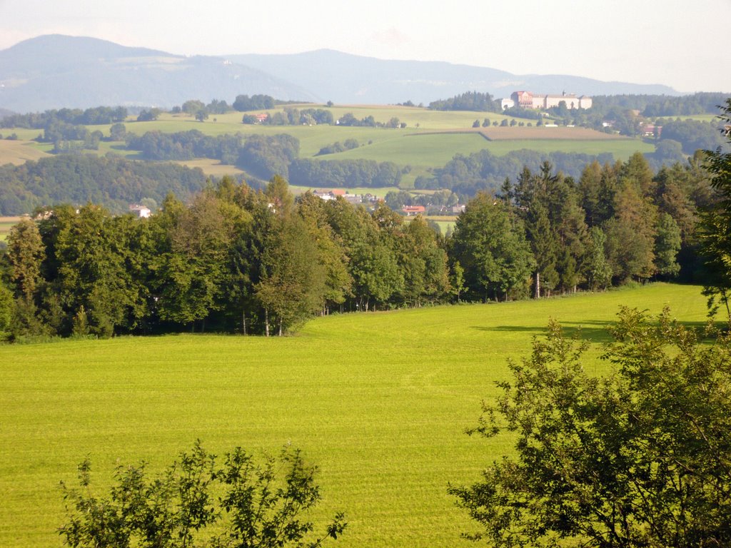 Gosposvetsko polje by Viator slovenicus