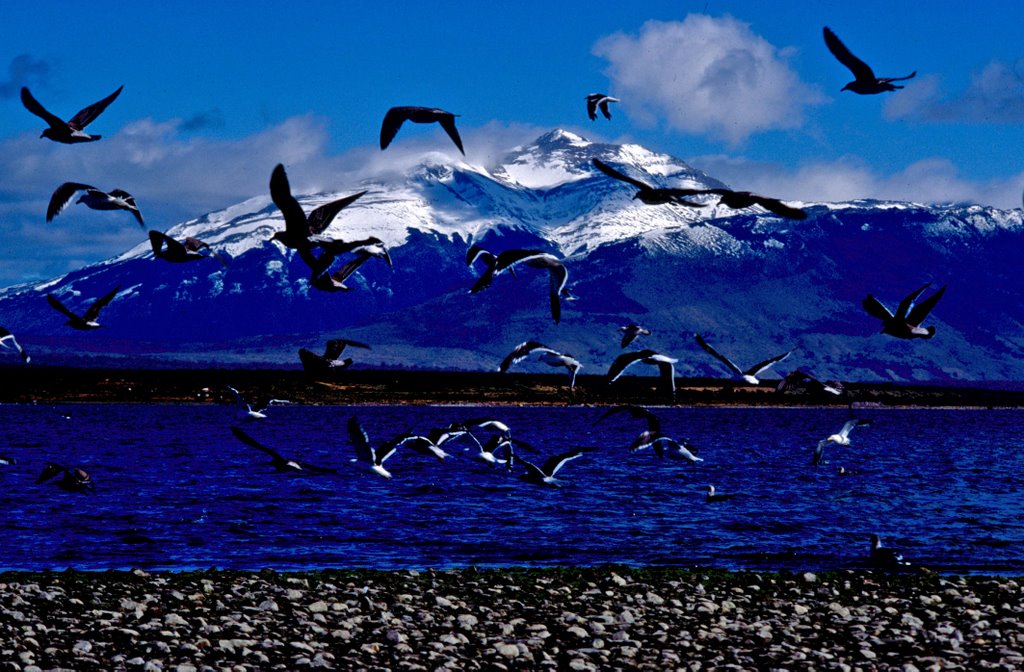 Chile Puerto Natales by aggod