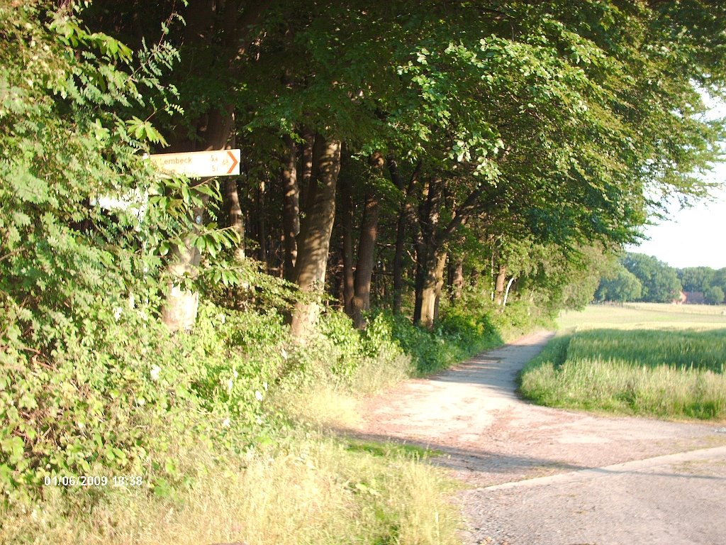 H©) Juni 2009 / Hohe Mark, Am Rand der hohen Mark, Napoleonsweg by Hannes Th.