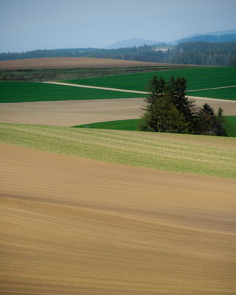 Omura, Biei, Kamikawa District, Hokkaido Prefecture 071-0200, Japan by kahong