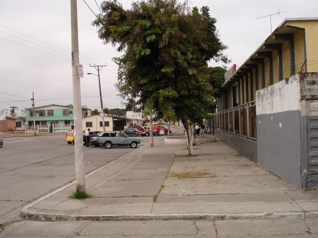 Esquina del Colegio Eloy Alfaro Cdla 9 de Octubre by wsalavar