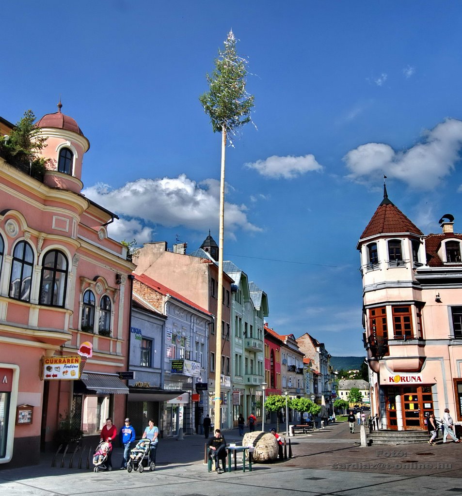 Felvidék Rózsahegy DSC_0596-1 by A. Zoltán Sárdi (pho…