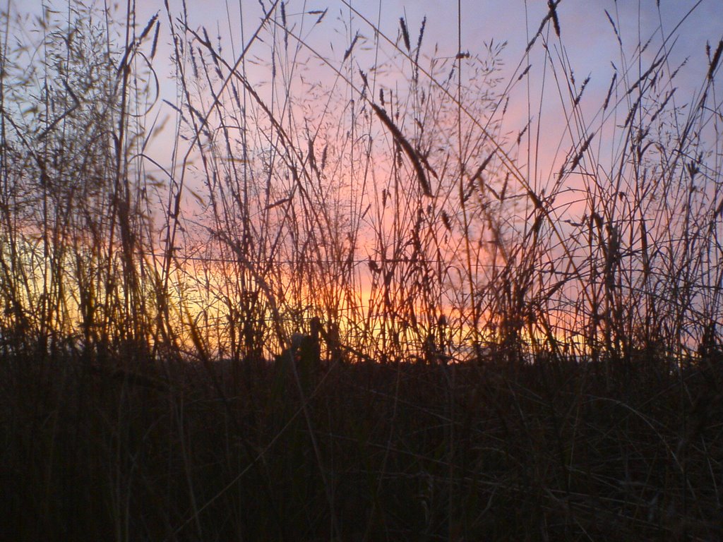 Abendrot by .svcl Sterni