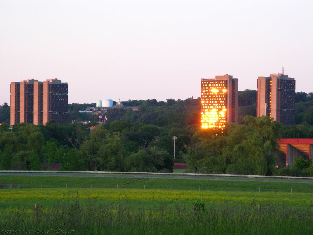 UMass Amherst Dorms "Afire" by Alvin-San©