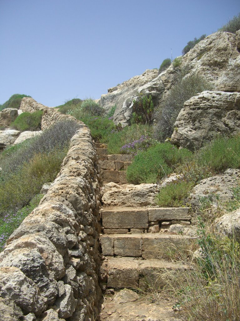 Stairs by Gianluca Albeggiani …