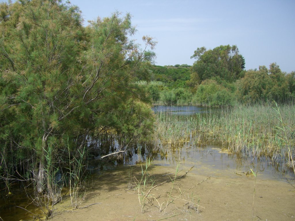 Pond (in the nature reserve, Cala Mosche beach) by Gianluca Albeggiani …