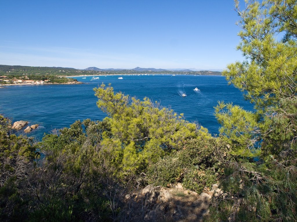 Plage de Pampelone vue du Cap Camarat by magolivier