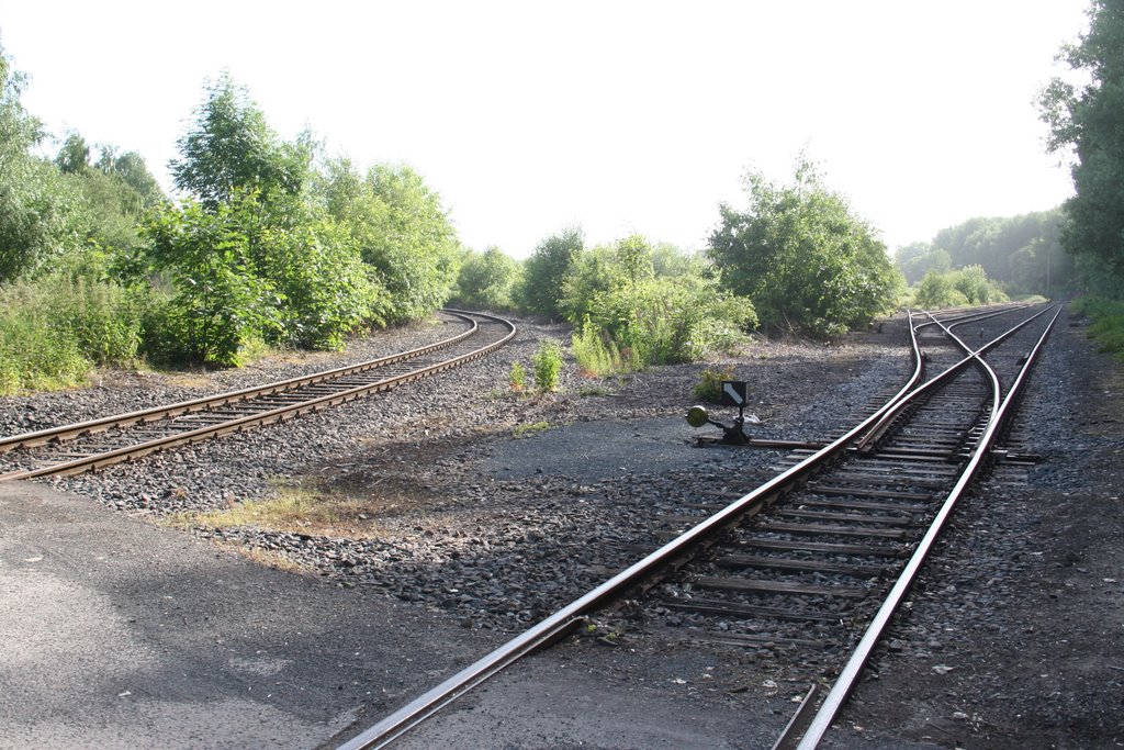 Gleisfeld an der Borsigstr. by Auswärtsfahrer