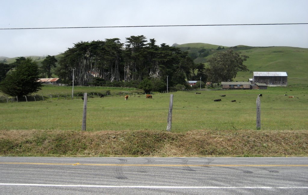 Farm by Gleason Beach, Sonoma Coast by Elliot Kallen