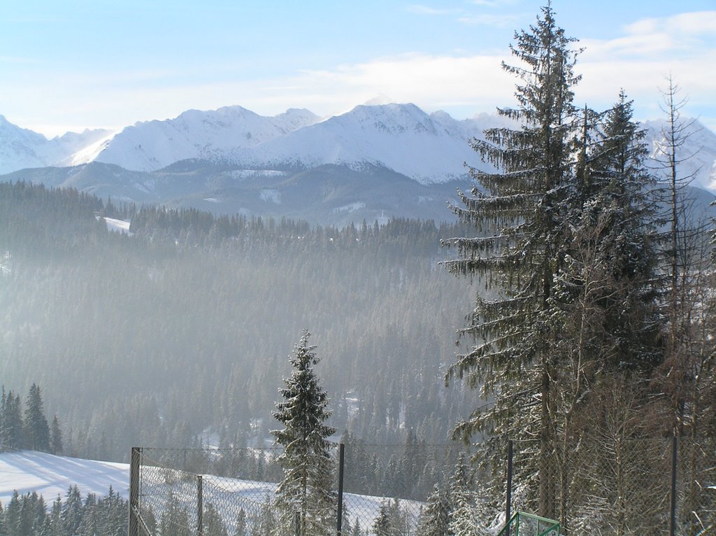 Widok na Tatry z Wierchu Olczańskiego by andrzej_07