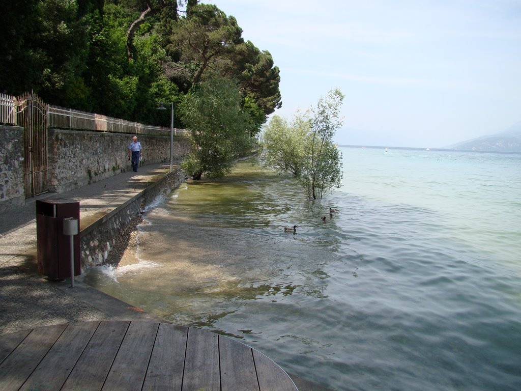 25019 Sirmione, Province of Brescia, Italy by Ion Daniel Puiu