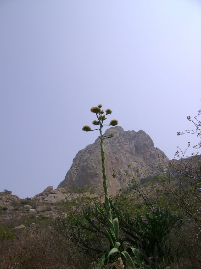 Peña de Bernal y Vegetacion de Sito by RS-Camaleon