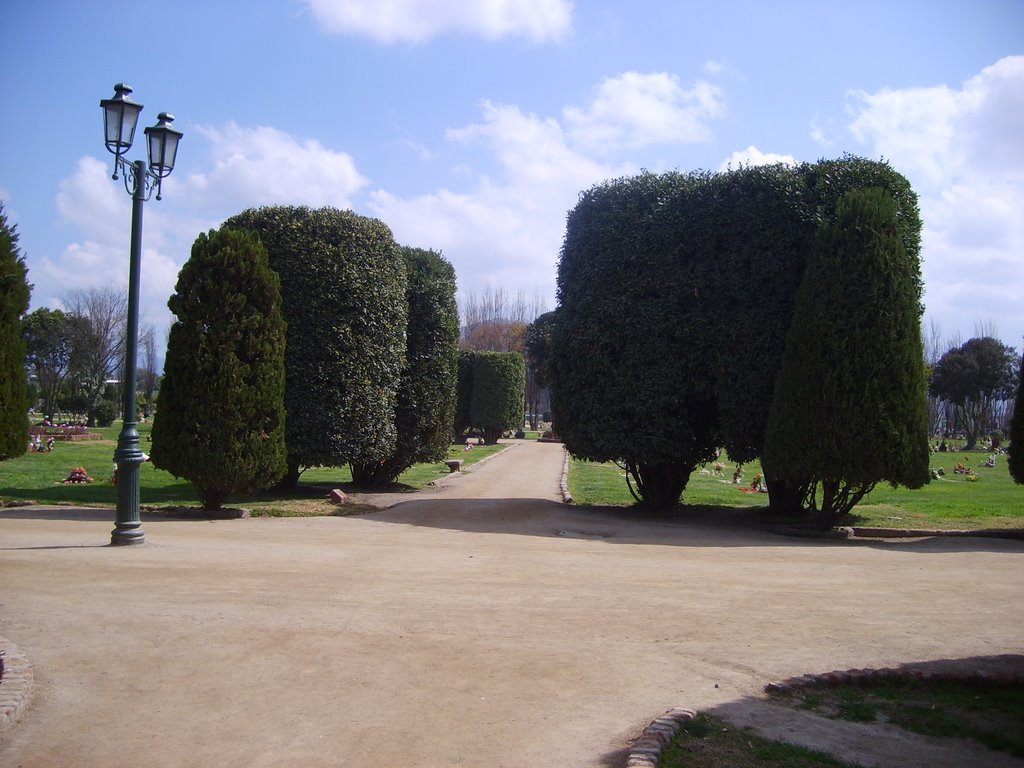 Cementerio Parque del Sendero by Angelita09