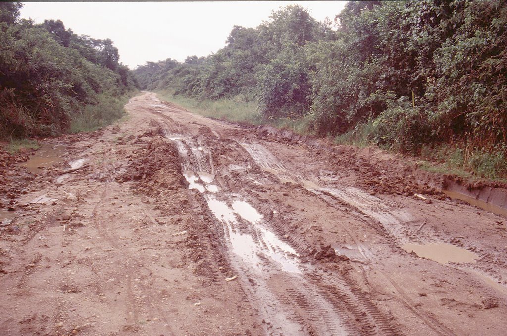 Uganda, Ishasha Mud Road by Christian Stowasser