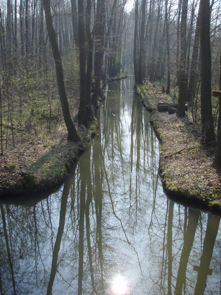 Spreewald im April by ubraubra