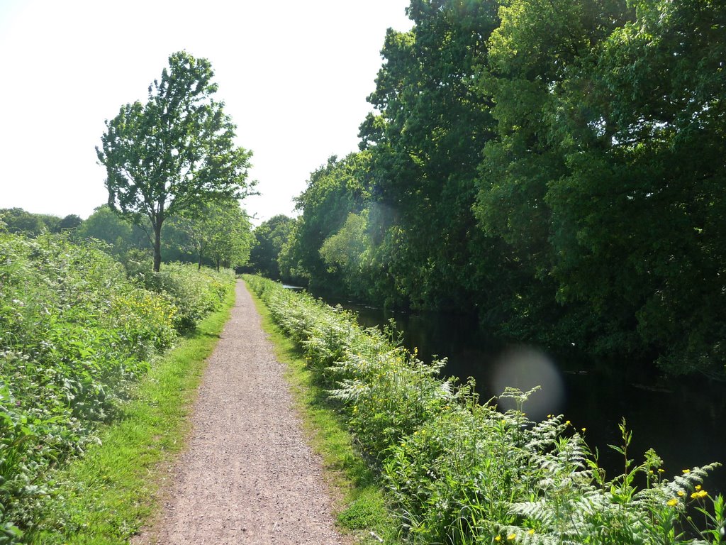 Mid Devon : Grand Western Canal by A Photographer