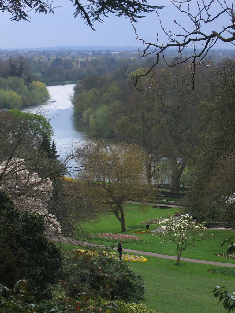 Petersham Park and River Thames in Early Spring by David Ian Wilson