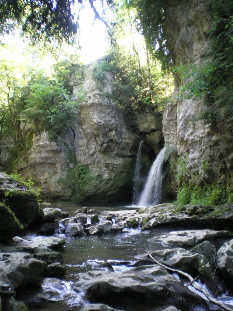 Tine de Conflens by parral80