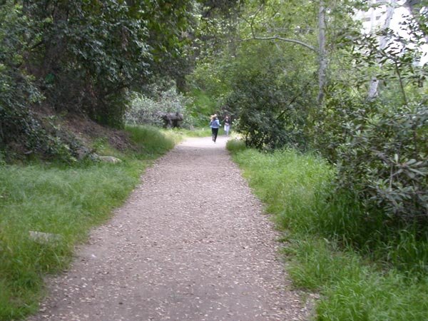 Lower Arroyo Seco National Park, Pasadena, CA by GhostBoots