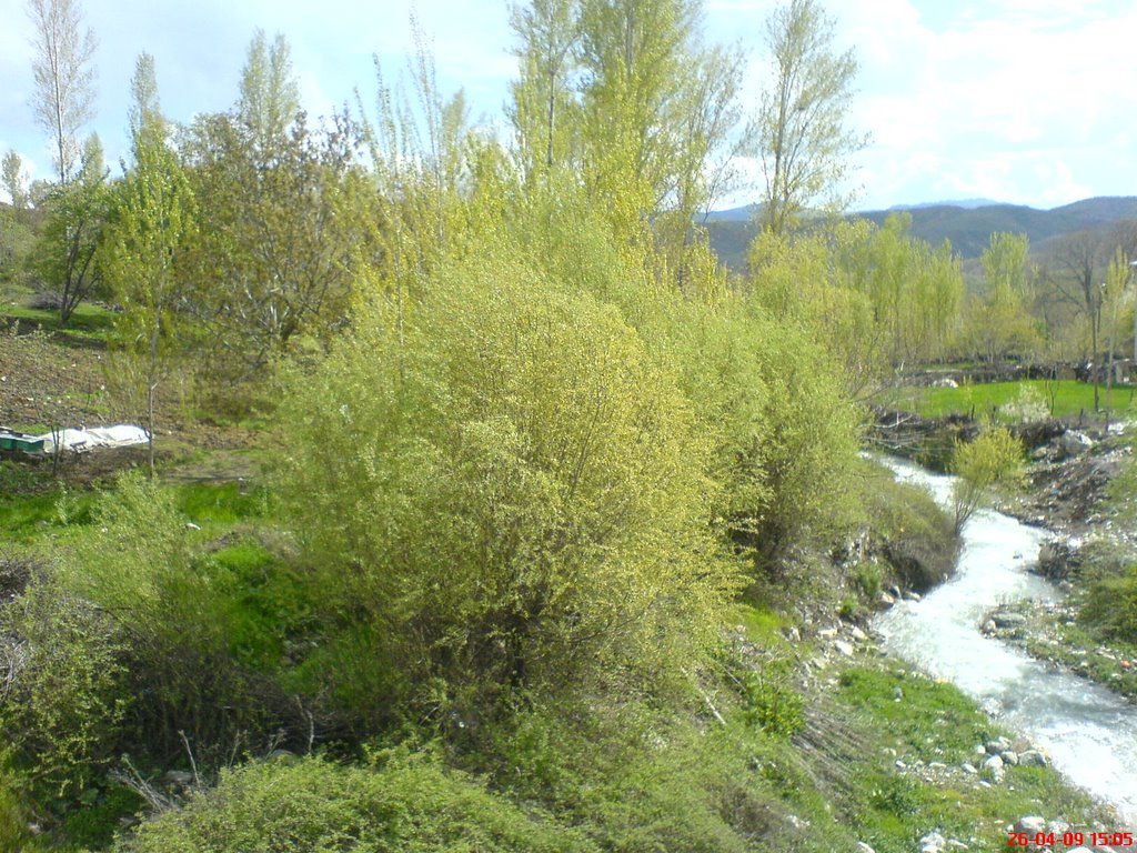 Arıcak/Elazığ, Turkey by Av. Mahmut SEZER