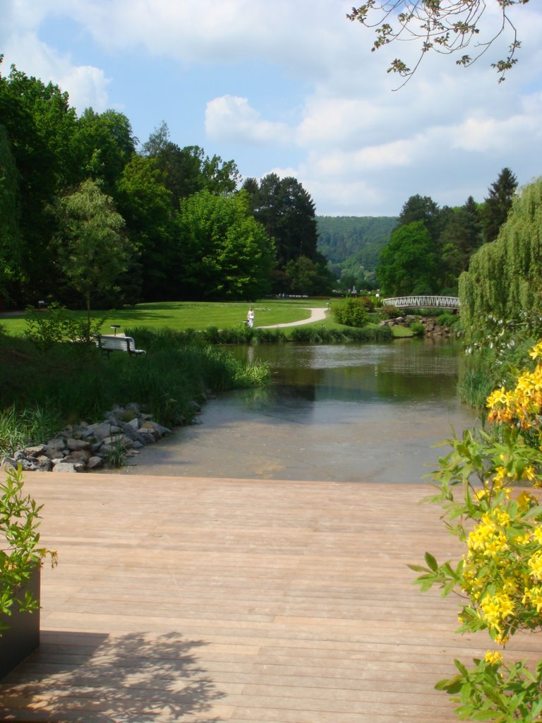 Teich im Park by rogacolor